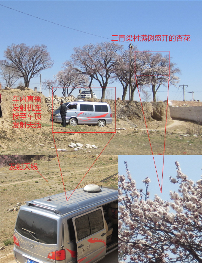 满村杏花的山青梁村信号测试点：